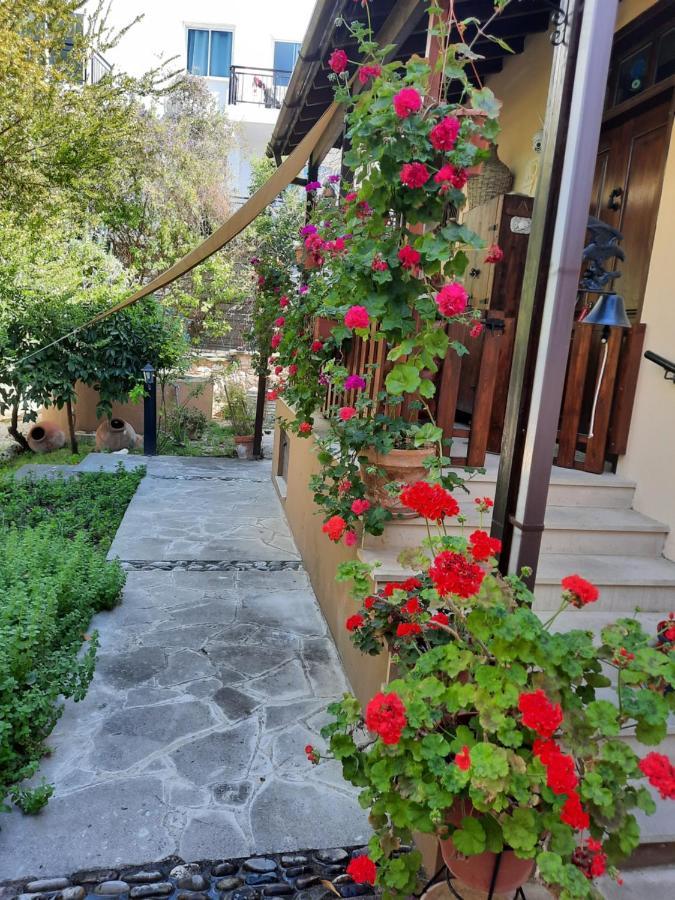 Vasilion Agrotourism Villa Полис Екстериор снимка