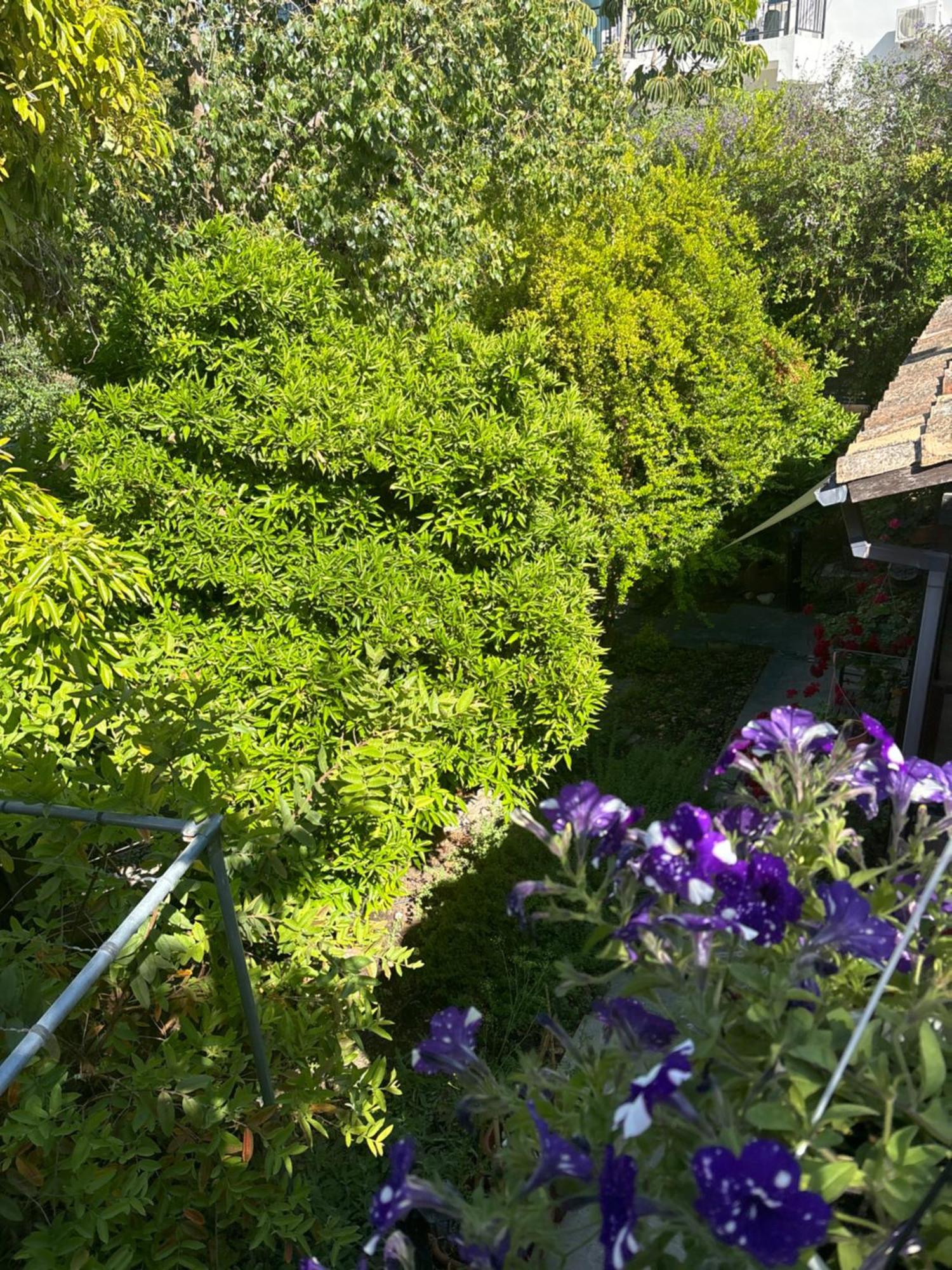 Vasilion Agrotourism Villa Полис Екстериор снимка