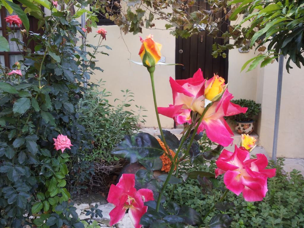 Vasilion Agrotourism Villa Полис Екстериор снимка