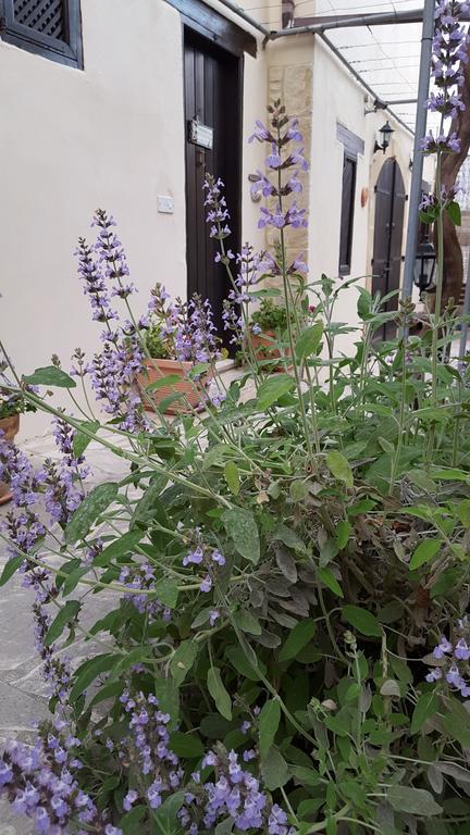 Vasilion Agrotourism Villa Полис Екстериор снимка