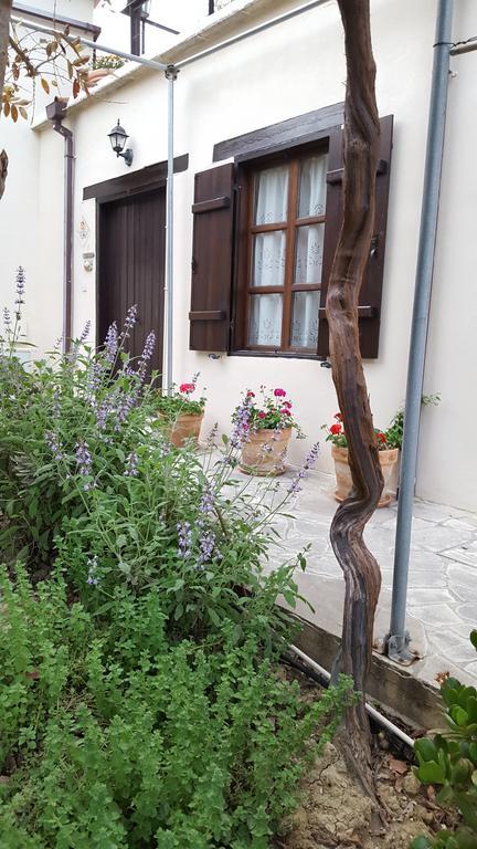 Vasilion Agrotourism Villa Полис Екстериор снимка