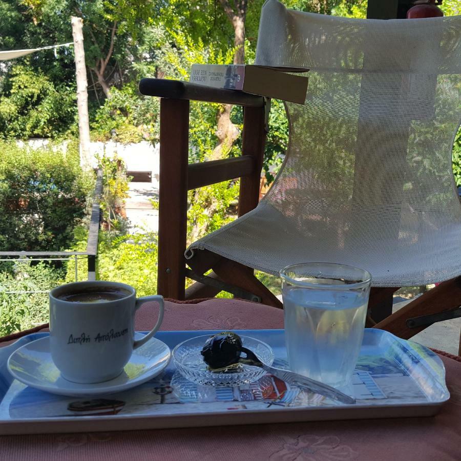 Vasilion Agrotourism Villa Полис Екстериор снимка